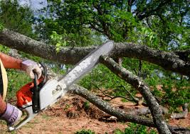 Lawn Renovation and Restoration in Cumberland Center, ME